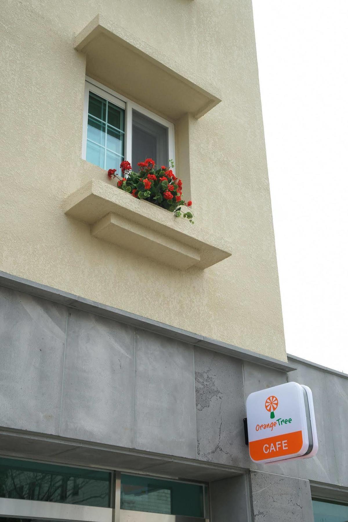 Orange Tree Hotel Jeju Luaran gambar